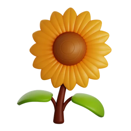 SUNFLOWER  3D Icon