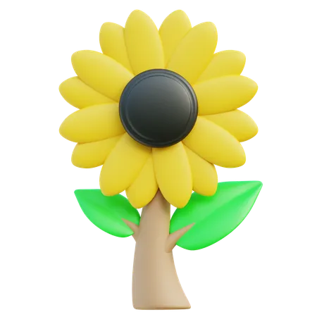 Sunflower  3D Icon