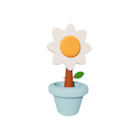 Sunflower  3D Icon