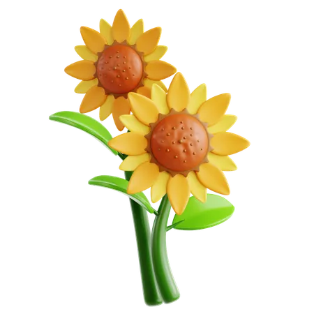 Sunflower  3D Icon