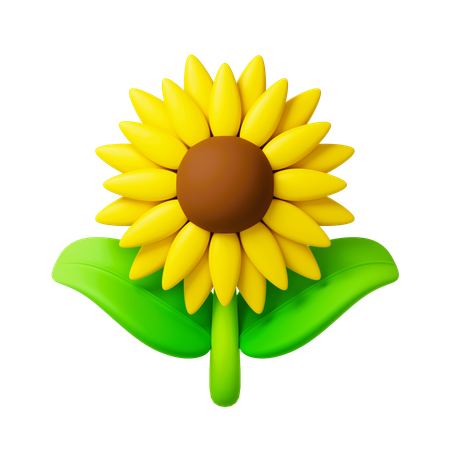 Sunflower  3D Icon