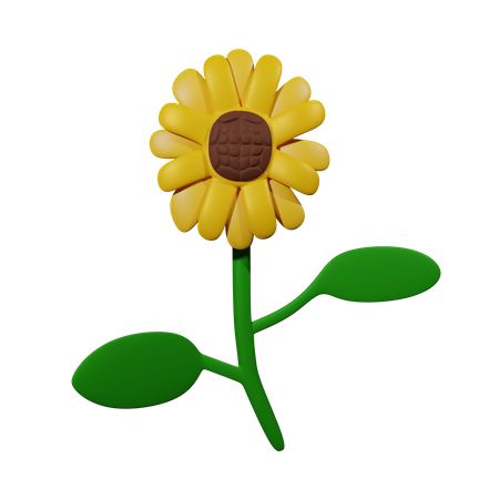 Sunflower  3D Icon