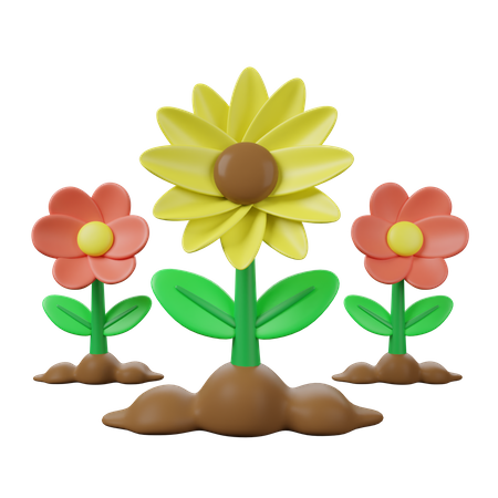 Sunflower  3D Icon