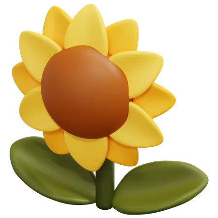 Sunflower  3D Icon