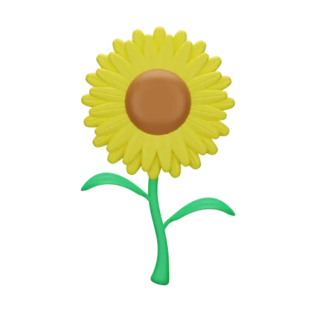 Sunflower  3D Icon