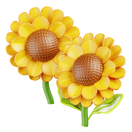 Sunflower  3D Icon
