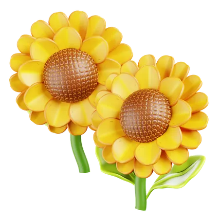 Sunflower  3D Icon