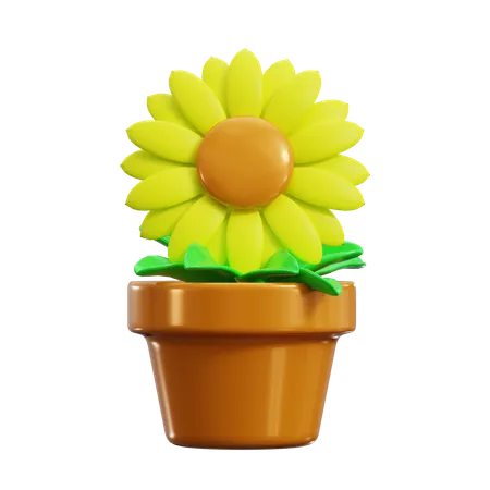 Sunflower  3D Icon