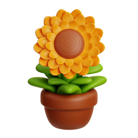 Sunflower  3D Icon