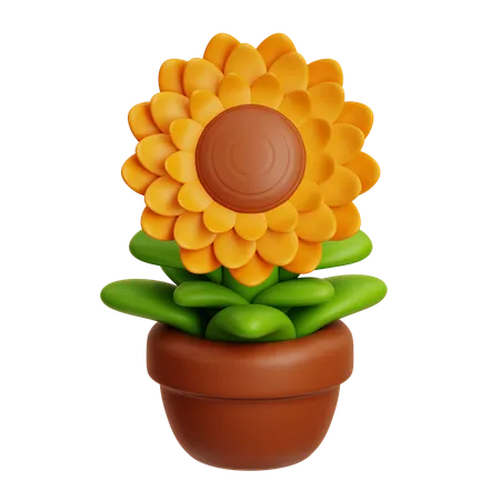 Sunflower  3D Icon