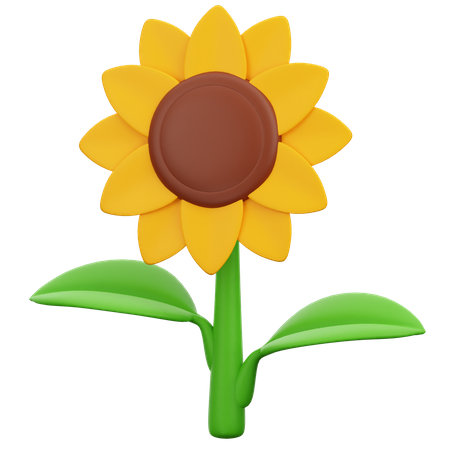 Sunflower  3D Icon