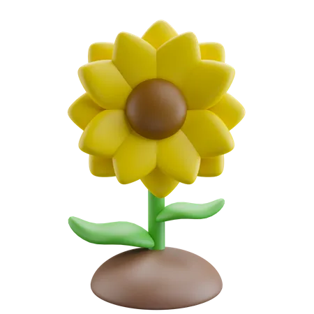 Sunflower  3D Icon