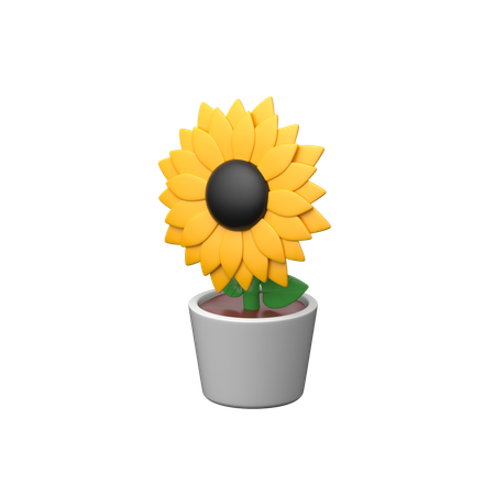 Sunflower  3D Icon