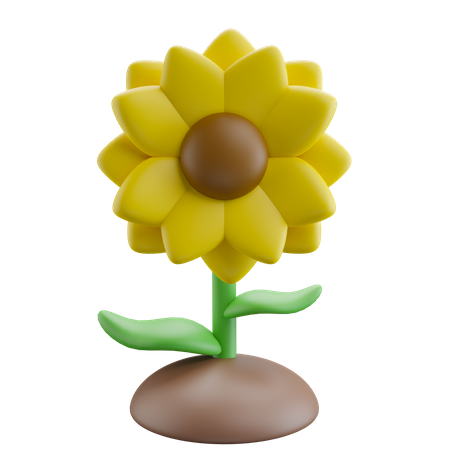 Sunflower  3D Icon