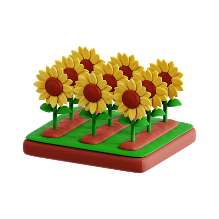 Sunflower  3D Icon