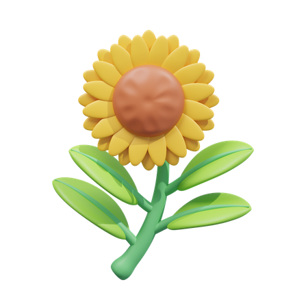 Sunflower  3D Icon