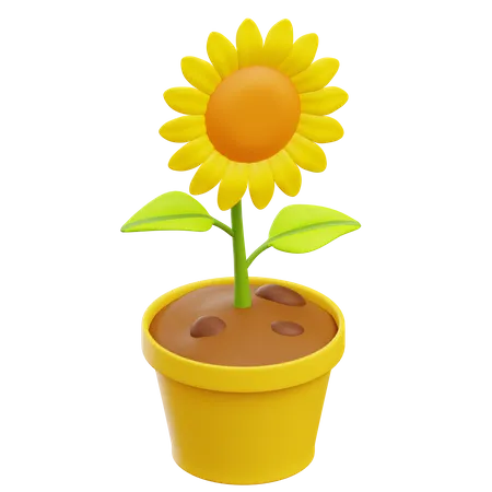 Sunflower  3D Illustration