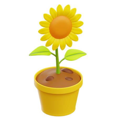 Sunflower  3D Illustration