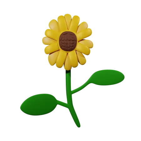 Sunflower  3D Icon