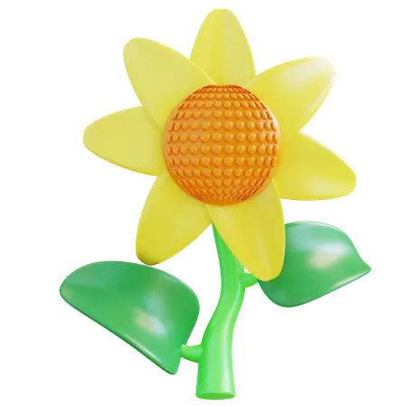 3 D Illustration Sunflower 3D Icon