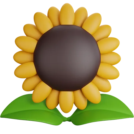 3 D Rendering Sunflower With Two Leaves Isolated 3D Icon