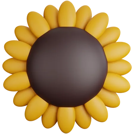 3 D Rendering Sunflower Front Close Up Isolated 3D Icon