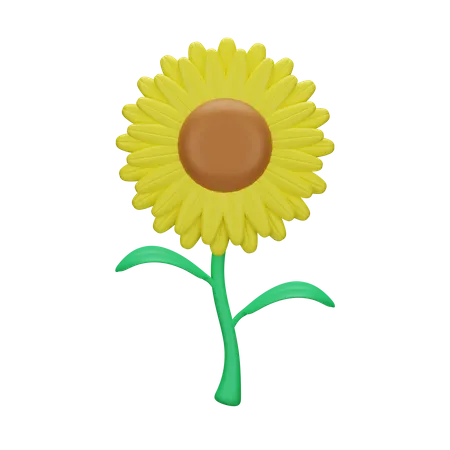 Sunflower 3 D Spring 3D Icon