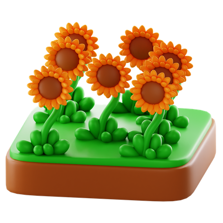 Sunflower farm  3D Icon