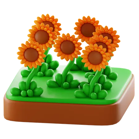 Sunflower farm  3D Icon