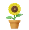 Sunflower Flower Pot