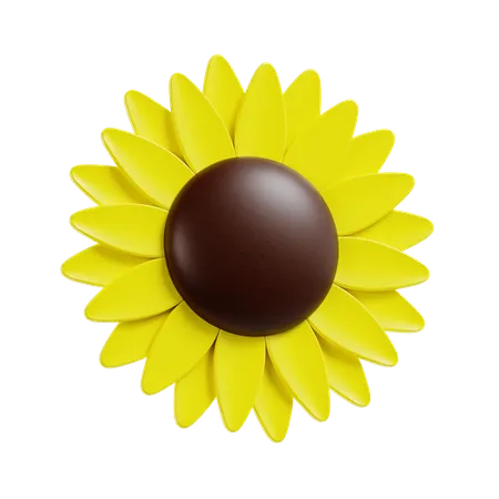 Sunflower Petal 3D Icon