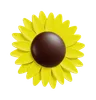 Sunflower Petal