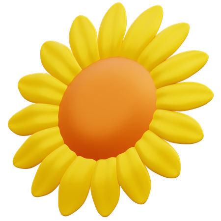 Sunflower Petals 3D Illustration