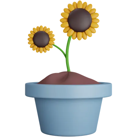 Sunflower Plant  3D Icon