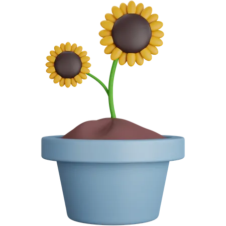 3 D Rendering Two Sunflowers In A Pot Isolated 3D Icon