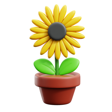 Sunflower Pot  3D Icon