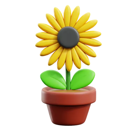 Sunflower Pot  3D Icon