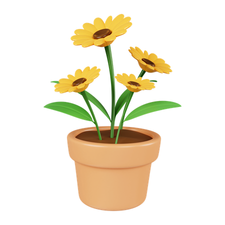 Sunflower Pot  3D Icon