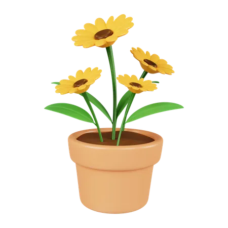 Sunflower Pot  3D Icon