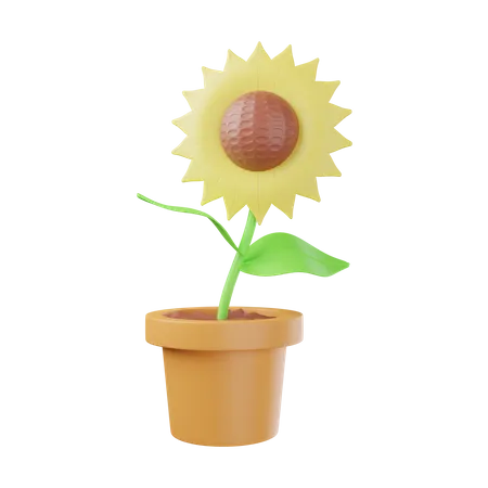 Sunflower Pot  3D Illustration