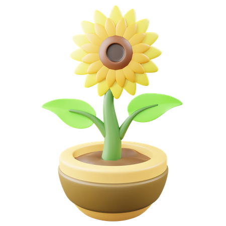 Sunflower Pot  3D Icon
