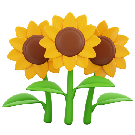 Sunflowers  3D Icon