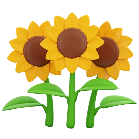 Sunflowers  3D Icon