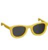 Sunglass