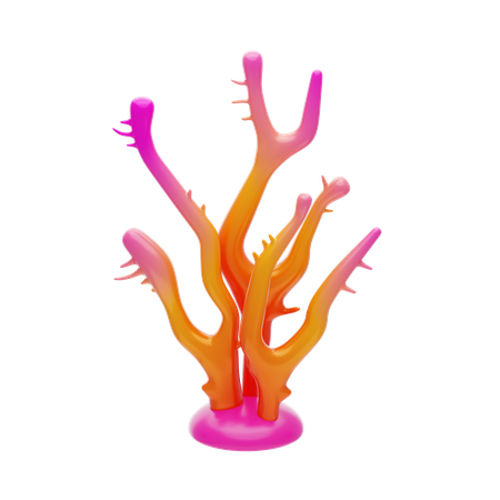 Sunset Coral  3D Icon