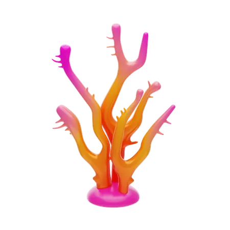 Sunset Coral  3D Icon