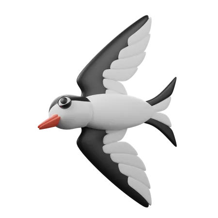 Swallow  3D Icon