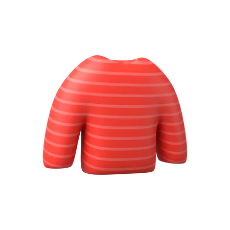 Sweater  3D Illustration