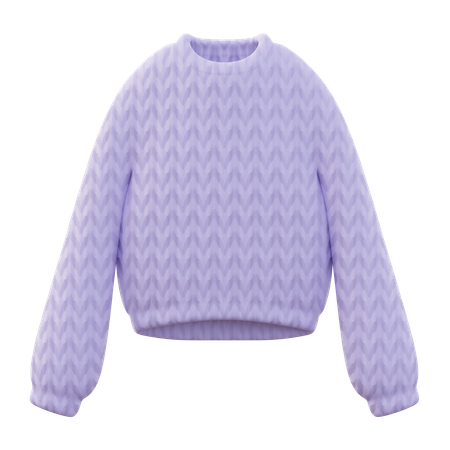 Sweater over the head Women  3D Icon