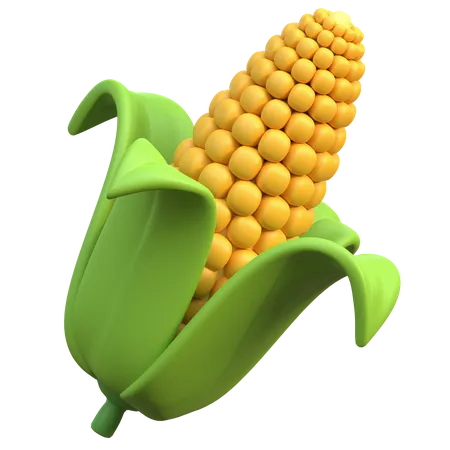 Sweet Corn  3D Icon